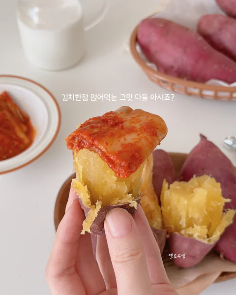 원조 꿀고구마 도시농장 로얄벌꿀고구마